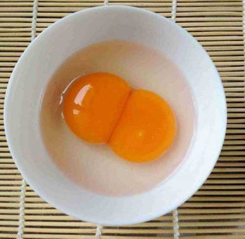 长沙供卵试管中心排行榜,长沙哪里做供卵试管不用等？_上海代孕价格_捐卵供卵