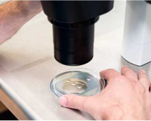 探寻雅培小安素长个子的真相