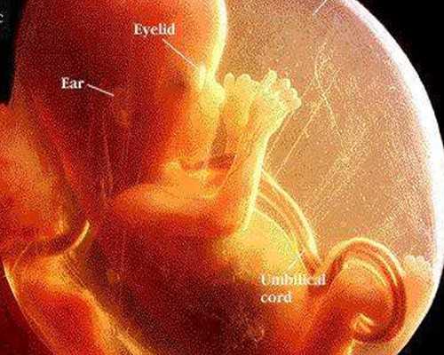 2026江苏三代试管助孕流程,江苏试管婴儿成功率最高的医院排名,附2026江苏试管