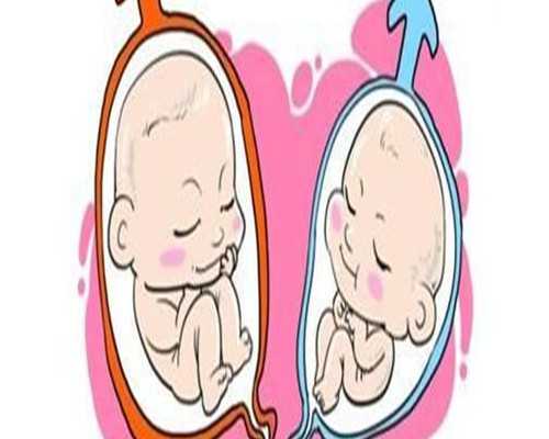 黑豆孕前饮食禁忌指南曝光：掌握正确的食用方法，避免对健康产生负面影响