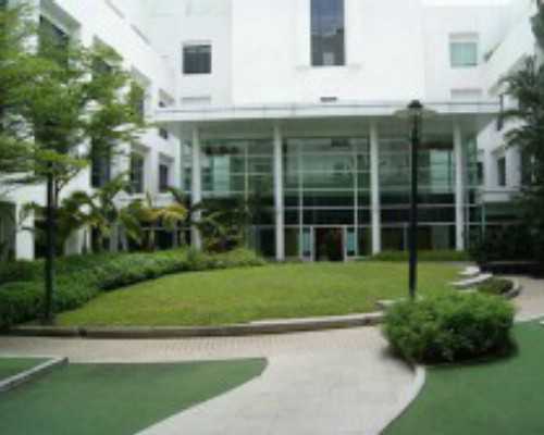 南京哪个医院供卵,卵泡大小会不会影响泰国试管婴儿成功率-南京供卵医院成功