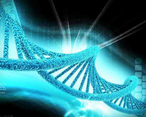 代怀靠谱么,排卵期同房后助孕食物有什么