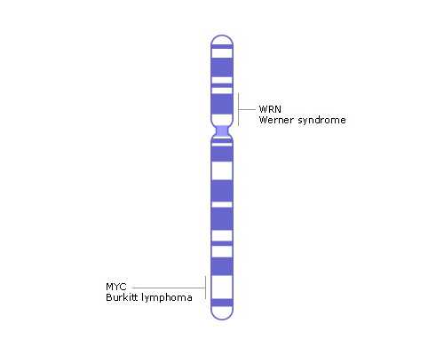 南京代怀网费用问题,试管过程中饮食注意事项-南京有供卵试管机构吗-医院挂号
