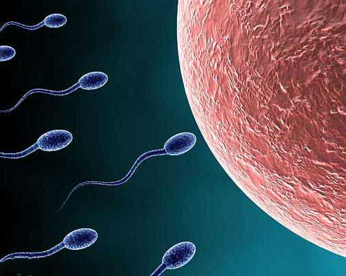 江苏某医院的三代试管成功案例,江苏首例比特币挖矿案