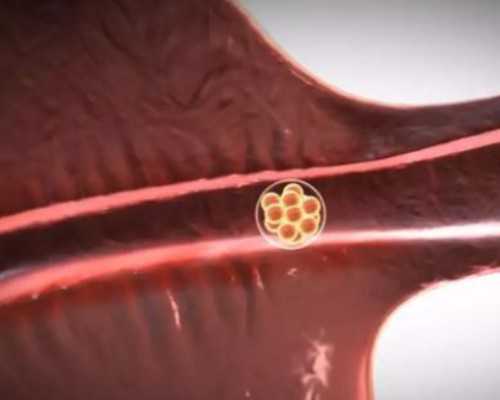 去哪里代怀,菏泽三代试管助孕公司