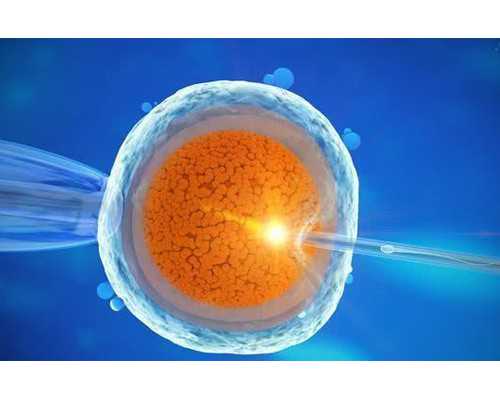 怀孕吃啥药可以流掉