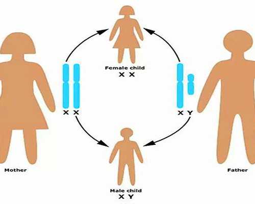 代孕公司招代妈,涿州哪些医院能做助孕试管婴儿？