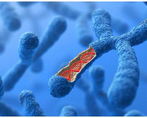 江苏做三代试管政府有补贴吗?,江苏试管移植成功率高吗?