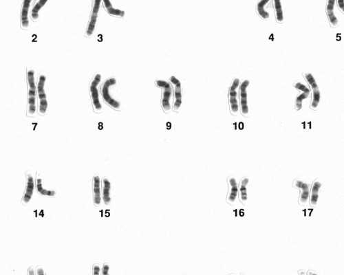 南京代怀孕费用表,湖南私人医院做试管选男孩多少钱？附详细费用-南京试管婴
