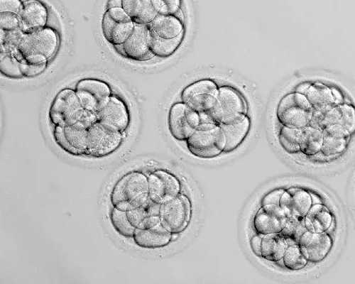 私人代孕医院,保定三代试管助孕私立生子医院大全