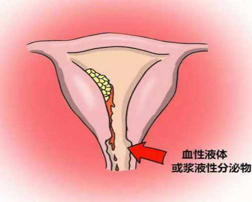 南京妇幼试管医生排名(南京妇幼试管医生)