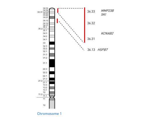 南京代孕机构哪家好,试管婴儿中多次检查性激素有哪些意义-上海供卵试管医院