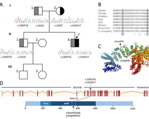 南京专业代孕费用,长沙三代试管婴儿成功率怎么样?哪家医院比较好?_南京试