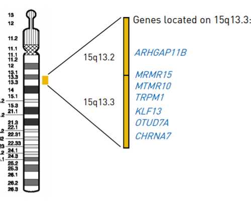 南京代孕哪家做得好,试管移植后出血正常吗_南京试管供卵代生包男孩-香港新一