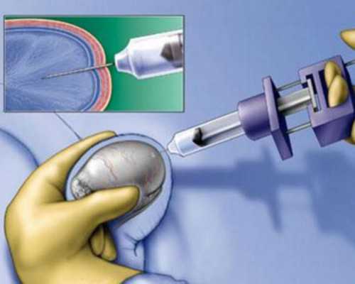 专业代怀机构,北京哪里有助孕机构?怎么找,北京各大助孕机构有什么特点?