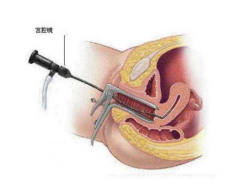 南京代孕选性别官网,做试管是自己亲生的吗？-南京供卵医院成功率-2026年阳历
