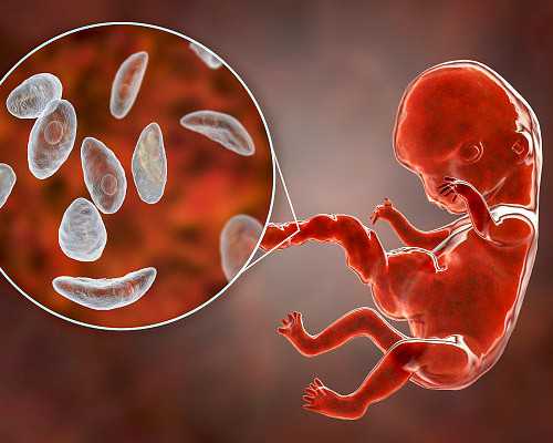 南京试管代怀中介,南京试管婴儿费用能报销吗？-超声消融术消除子宫肌瘤缺点