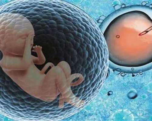 供卵机构好吗,北京人工助孕多少钱_正规试管中介