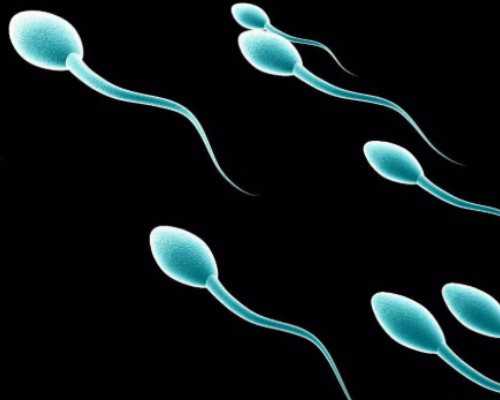 南京爱育华试管,南京试管医院能做三代试管挑男女吗？南京试管能不能做男孩