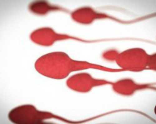 南京代怀哪家好,掌握提高试管着床的秘诀，让不孕患者实现孩子梦_南京公立医