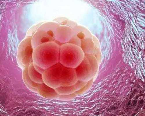 南通市各区社保机构地址及电话,南通供卵不用等的