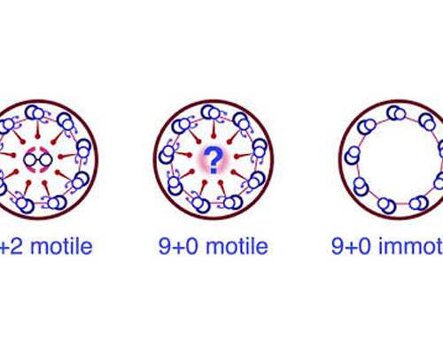 南京代生龙凤胎,请问南京鼓楼医院和南京江苏省人民医院生殖中心哪个做试管