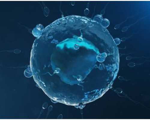 苏州代孕哪家做得好,中国试管婴儿合法吗？_上海世纪助孕公司靠谱吗-2026苏州