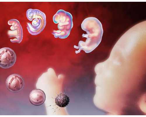 试管婴儿取卵拿精男人禁多少天