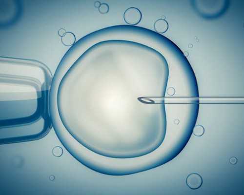 南京代生供卵流程,试管婴儿移植后会有哪些症状呢？-2026
台州二胎补助政策-医