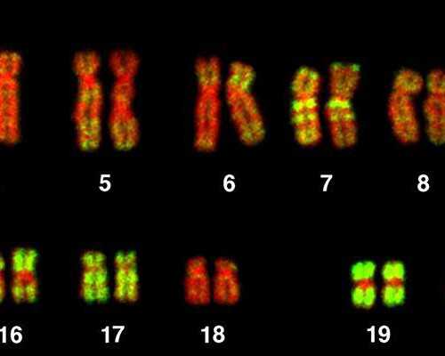 南京正规医院做代孕,二代试管婴儿会出现畸形吗?第二代试管婴儿畸形率高吗