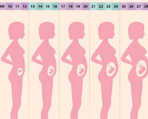 ivf代孕,北京助孕联系方式电话号码是多少啊