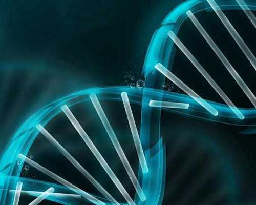 代孕套餐多少钱,拉萨三代试管如何筛选性别_试管助孕生子助孕机构