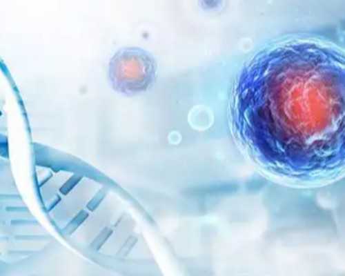 在江苏做人工授精的过程,江苏北大试管的流程费用一览