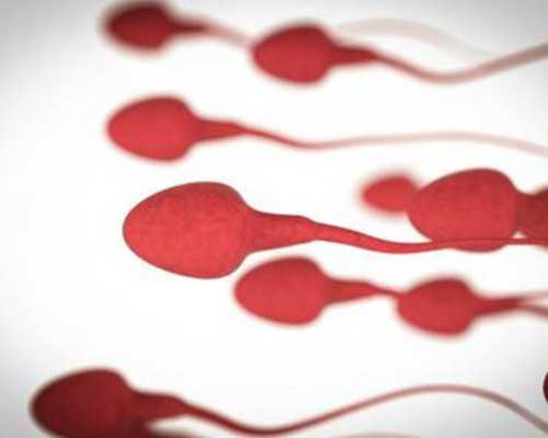 代生宝宝价钱,北京女士求精助孕-正规试管公司