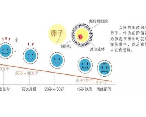 南京代怀网排名,南京有没有可以做试管婴儿生男孩的医院?医院可靠吗?-医院