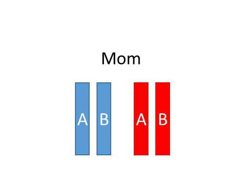 南京三代试管供卵,治不孕不育要多少钱治愈_南京试管供卵代生包男孩-多发性子