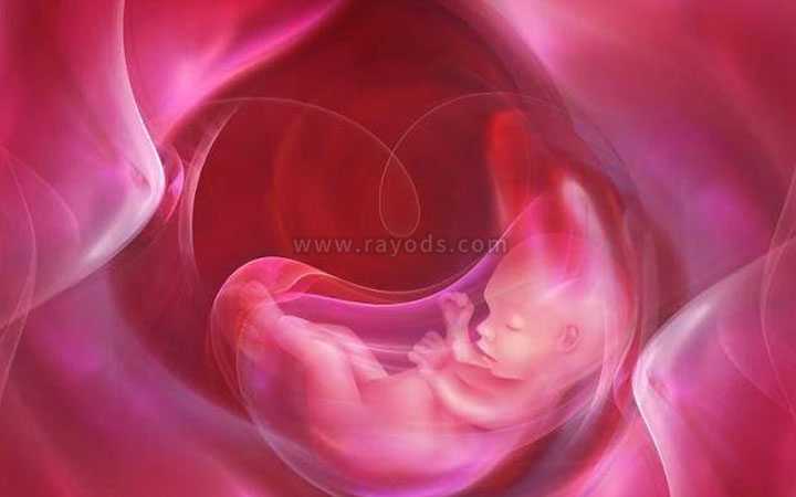 三代试管婴儿技术程序_二代试管受精卵成活率_平谷试管婴儿移植后几天可以验