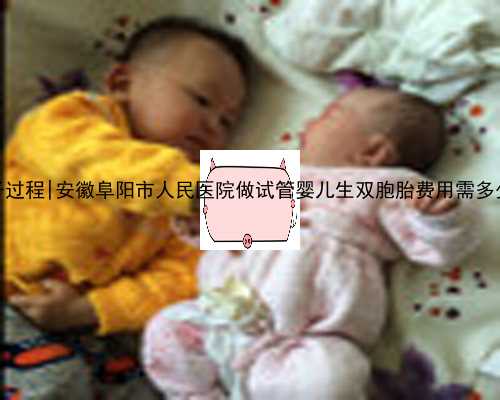 常州借腹生子过程|安徽阜阳市人民医院做试管婴儿生双胞胎费用需多少钱？_