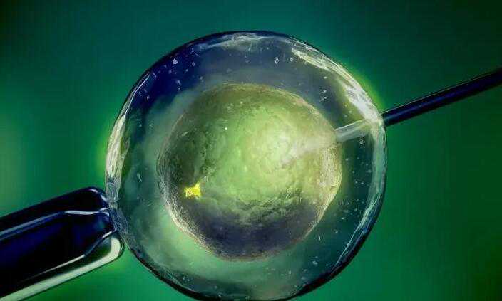 试管婴儿龙凤胎多少钱2021_试管三代可以选择性别吗_5073i_移植5cb的冻囊胚成功率