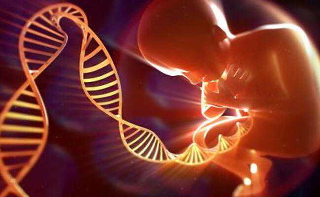 哪些遗传病试管可选性别_供精试管宝宝长得像谁_浅谈：关于美国试管婴儿基因